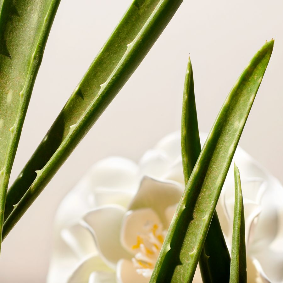 The Ritual of Namaste Clarifying Facial Toner