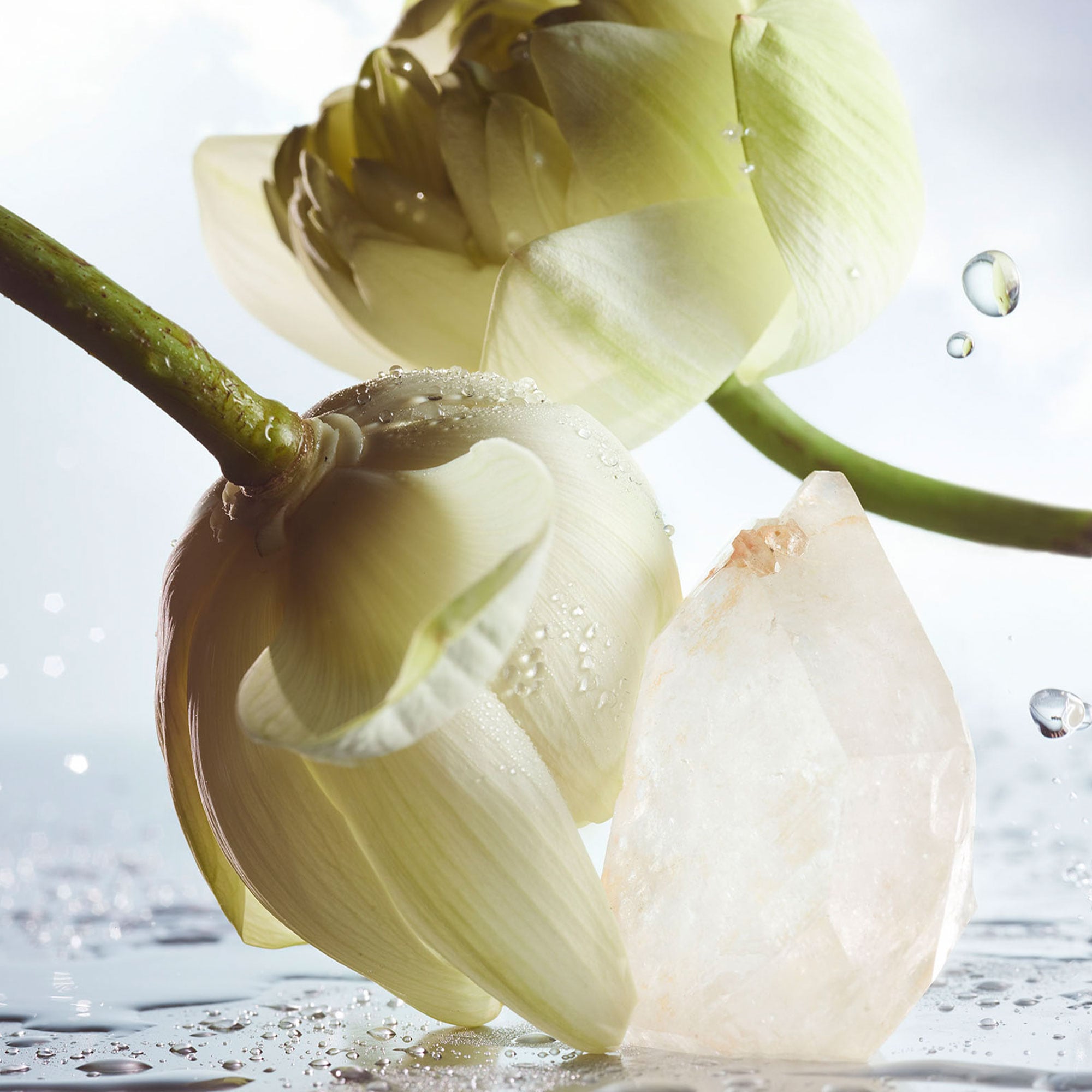 Rain Essence Eau de Parfum