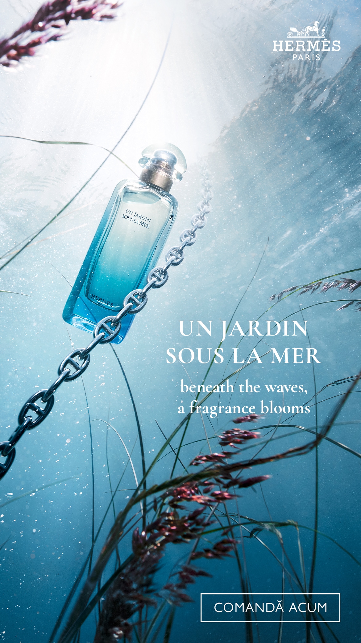 Glisor de imagine implicit pentru cms