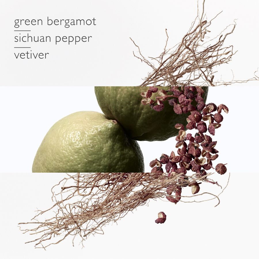 TERRE D’HERMÈS EAU INTENSE VÉTIVER