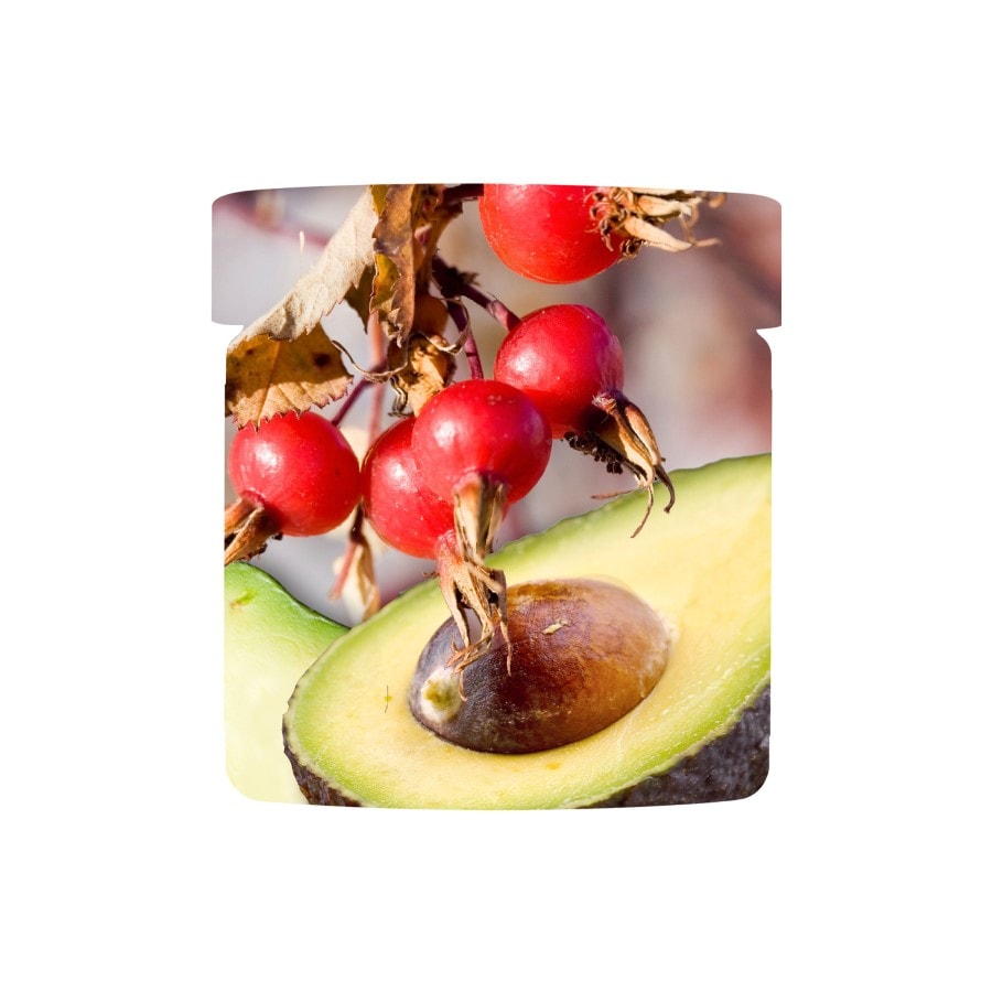 Vanilla Pod Hydrating Day Cream