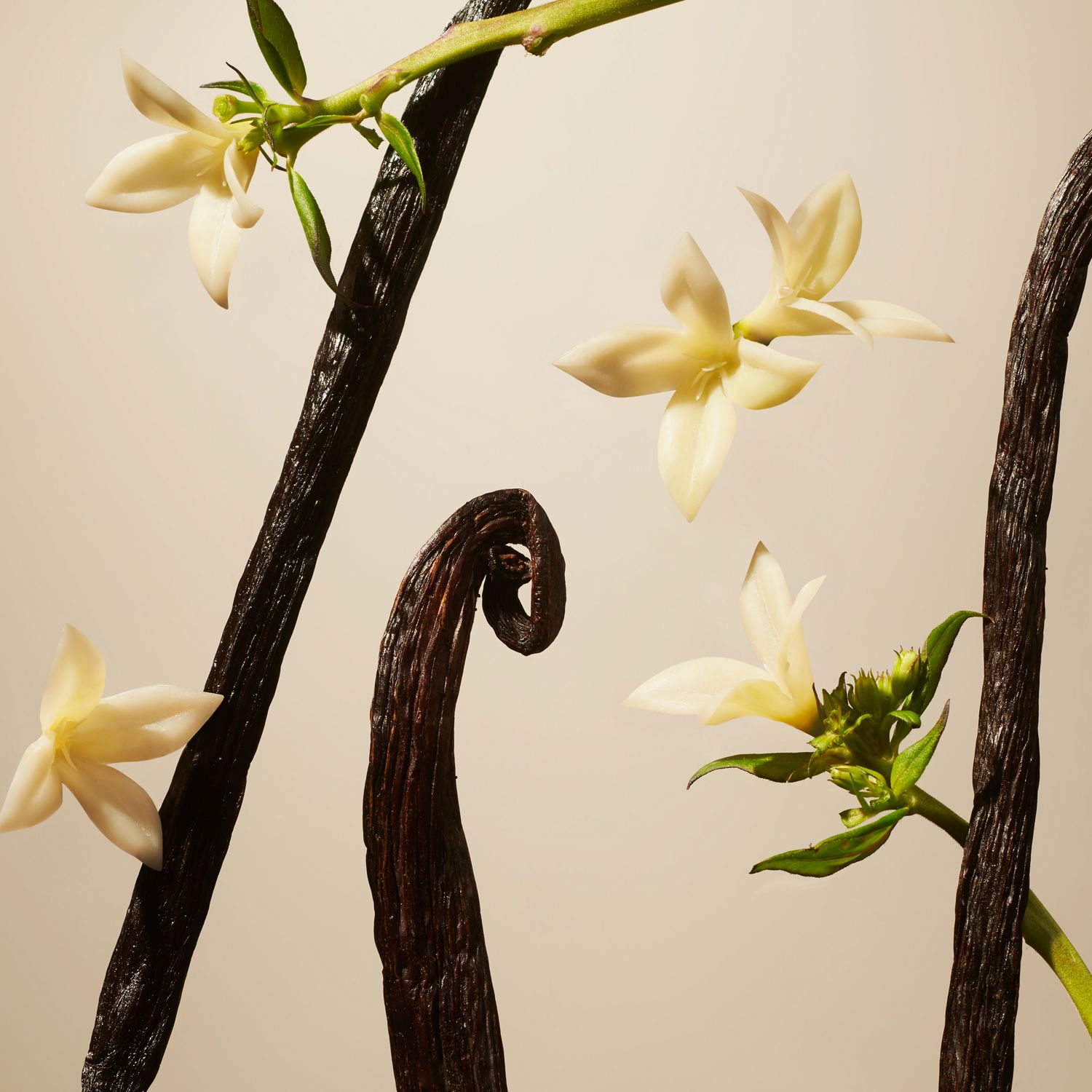 Suede Vanilla Mini Fragrance Sticks