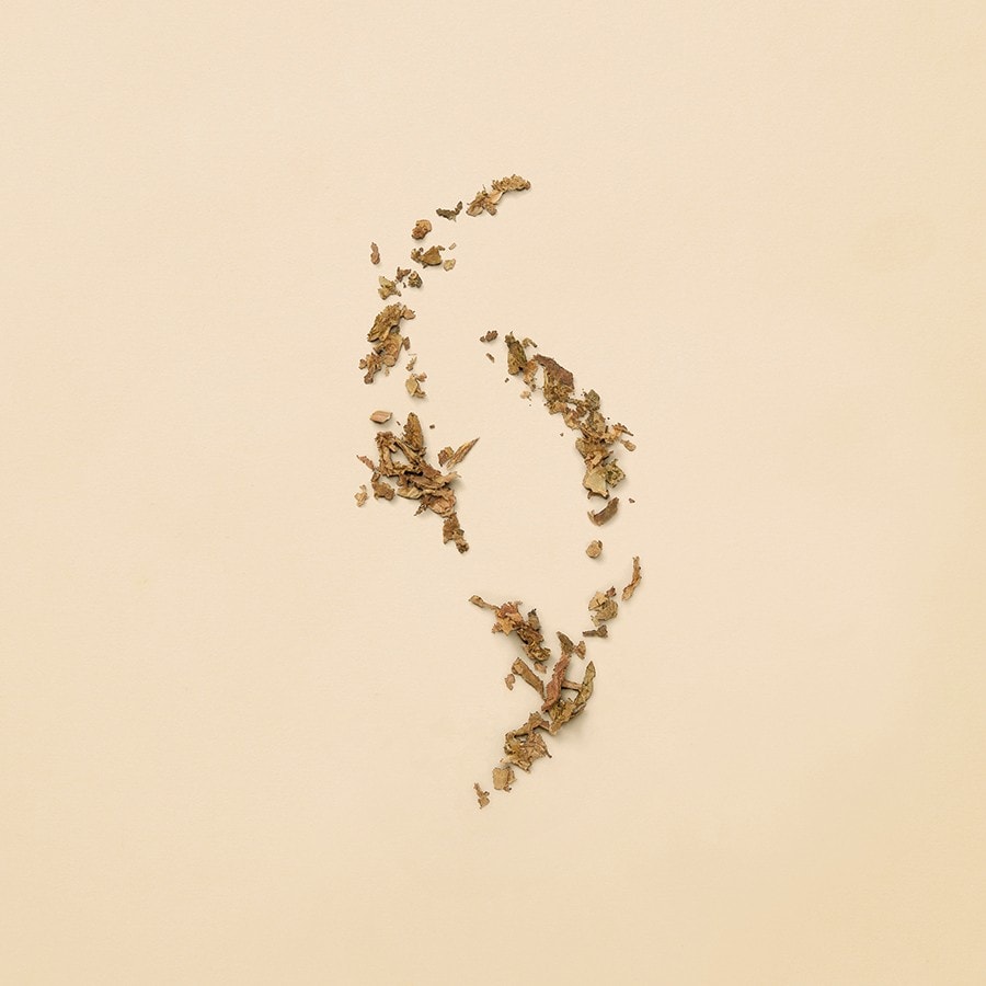 Gucci Guilty Pour Femme Eau De Parfum