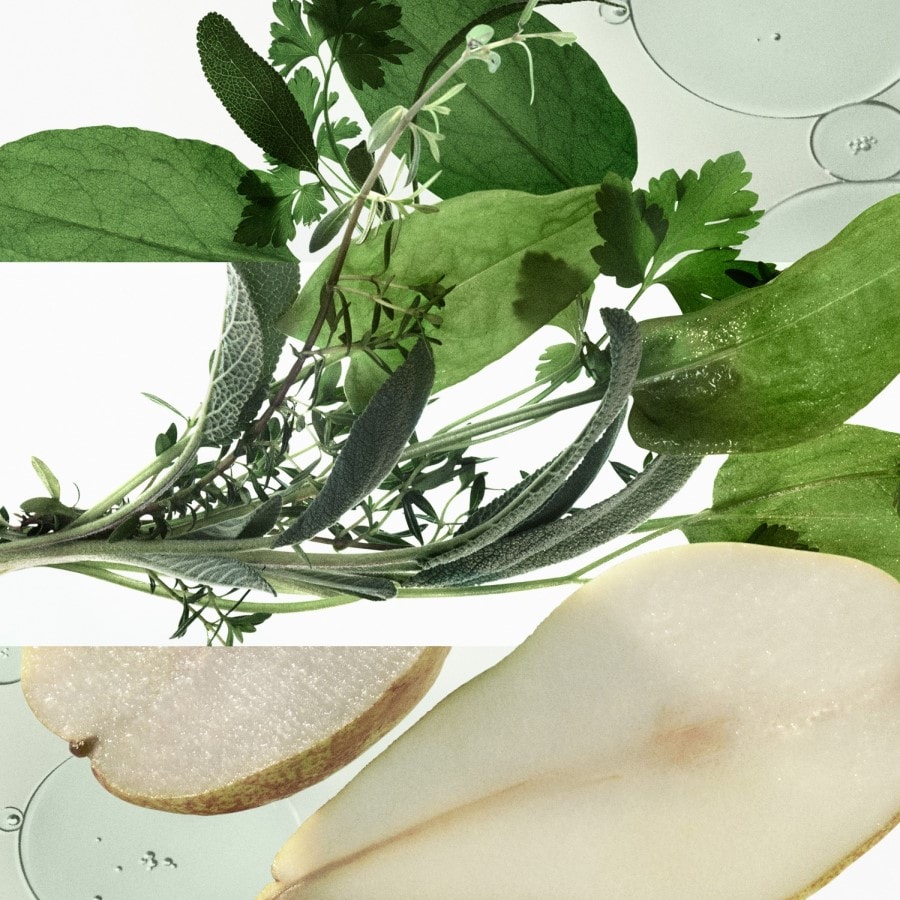 H4 Herbes Vives Eau de Parfum