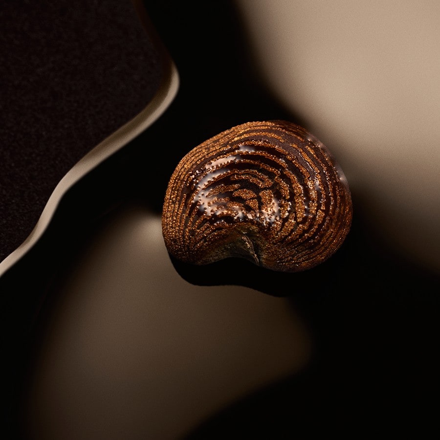 The Scent Magnetic For Her Eau de Parfum