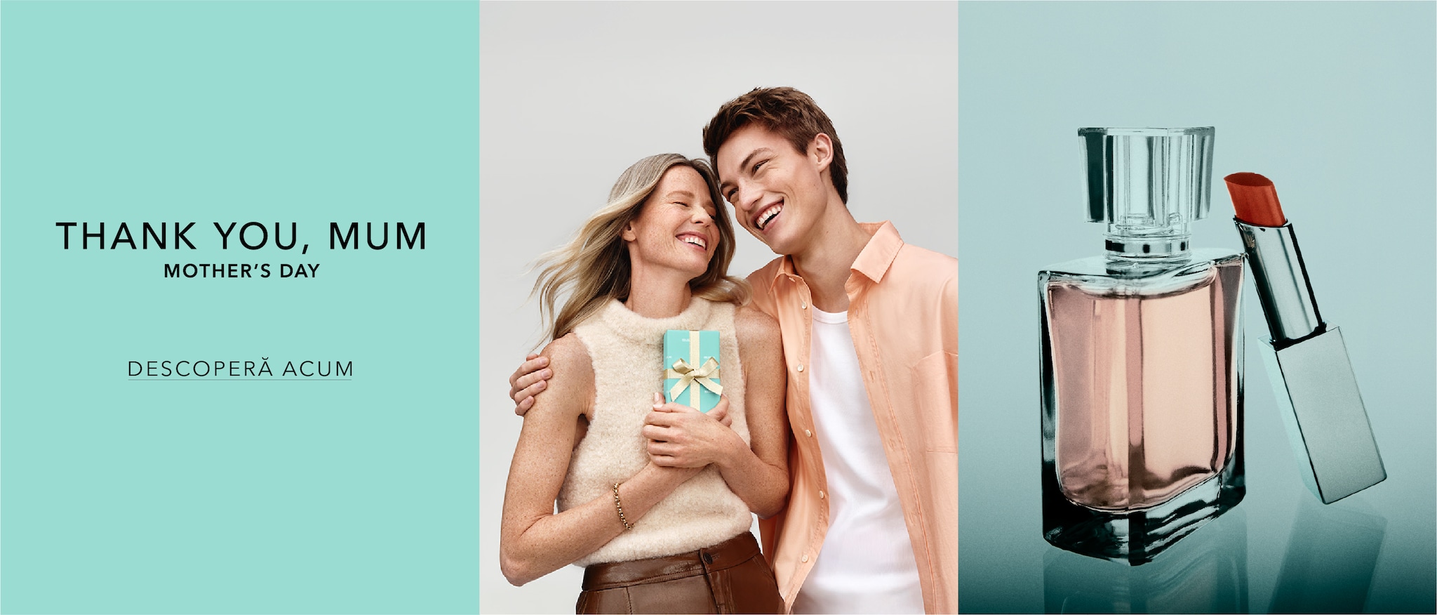 Imagine implicită pentru cms