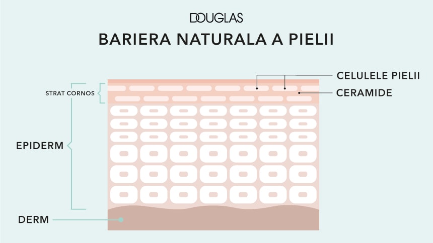 Imagine implicită pentru cms