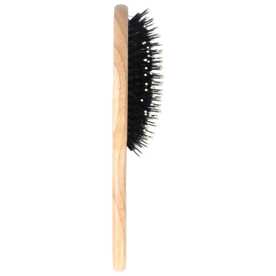 Oval Brush with Plastic Bristles
