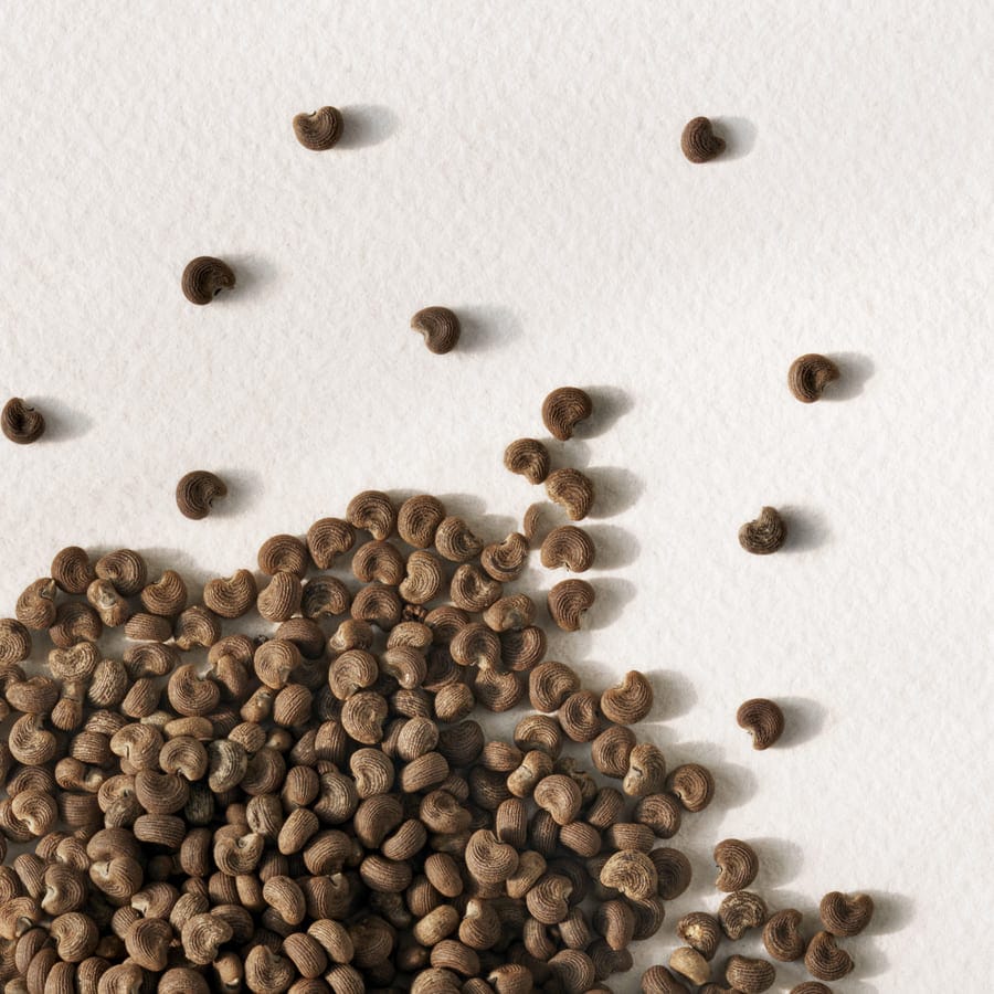 Polo Earth Moroccan Neroli Eau de Toilette