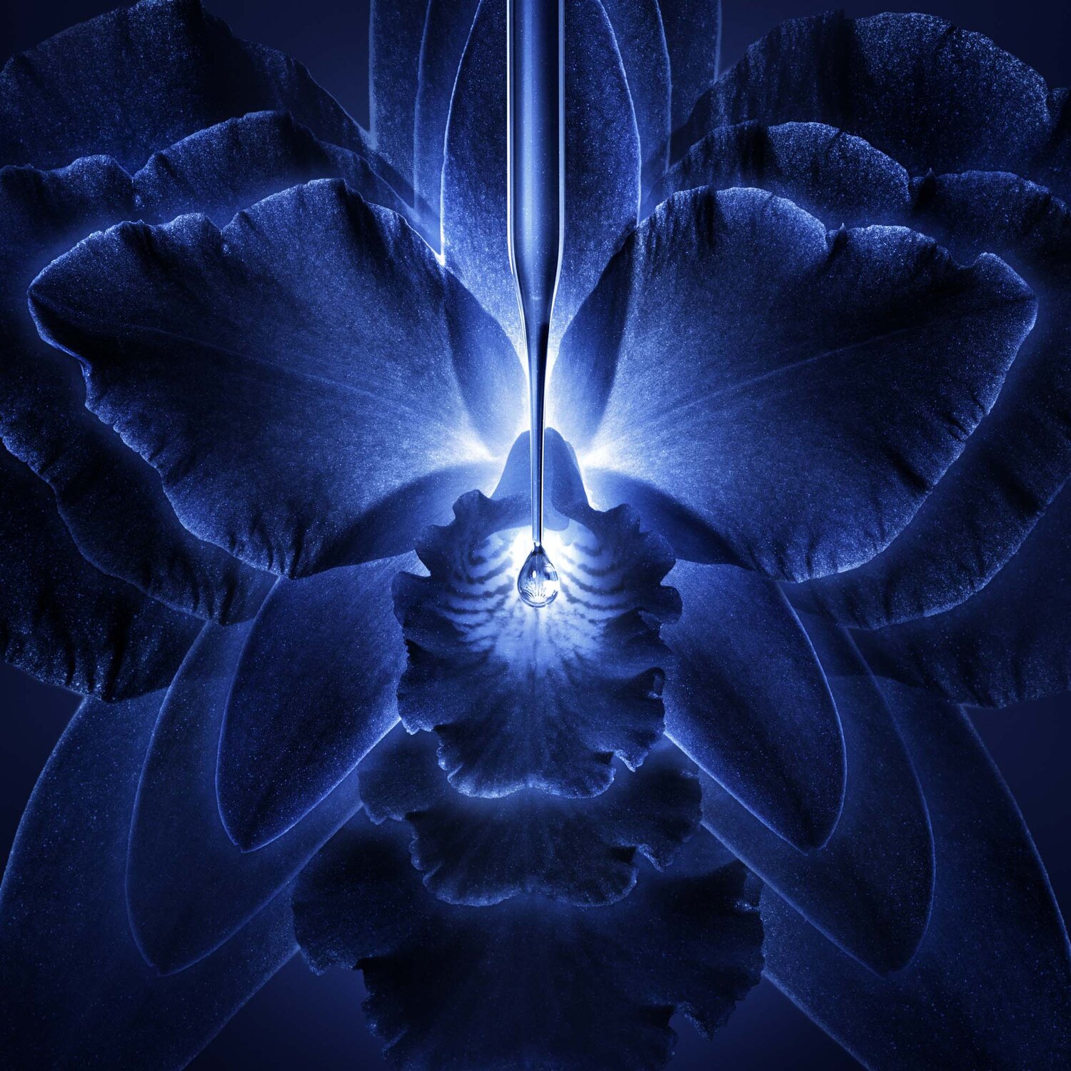 Orchidée ImpérialeThe Light Cream Refill