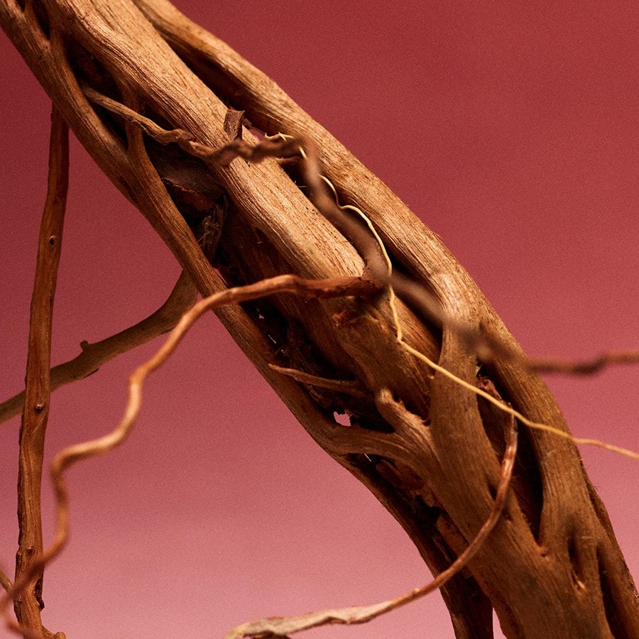 Eternity Amber Essence