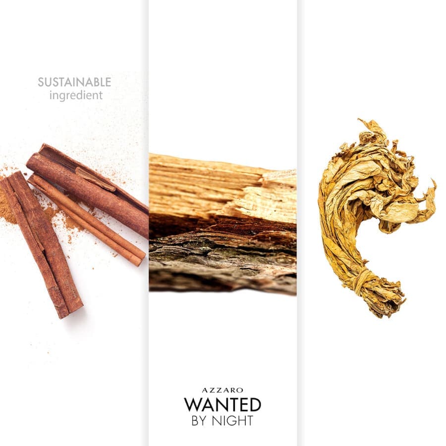 Wanted By Night Eau de Parfum