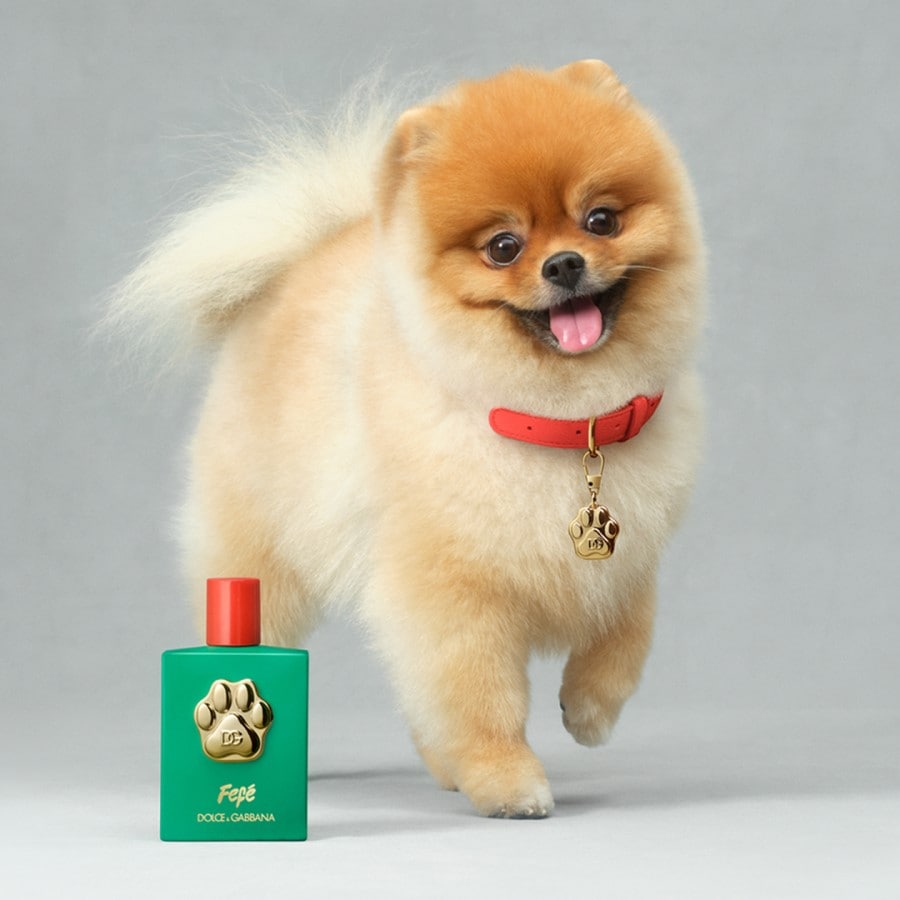 Fefé - Parfum For Dogs