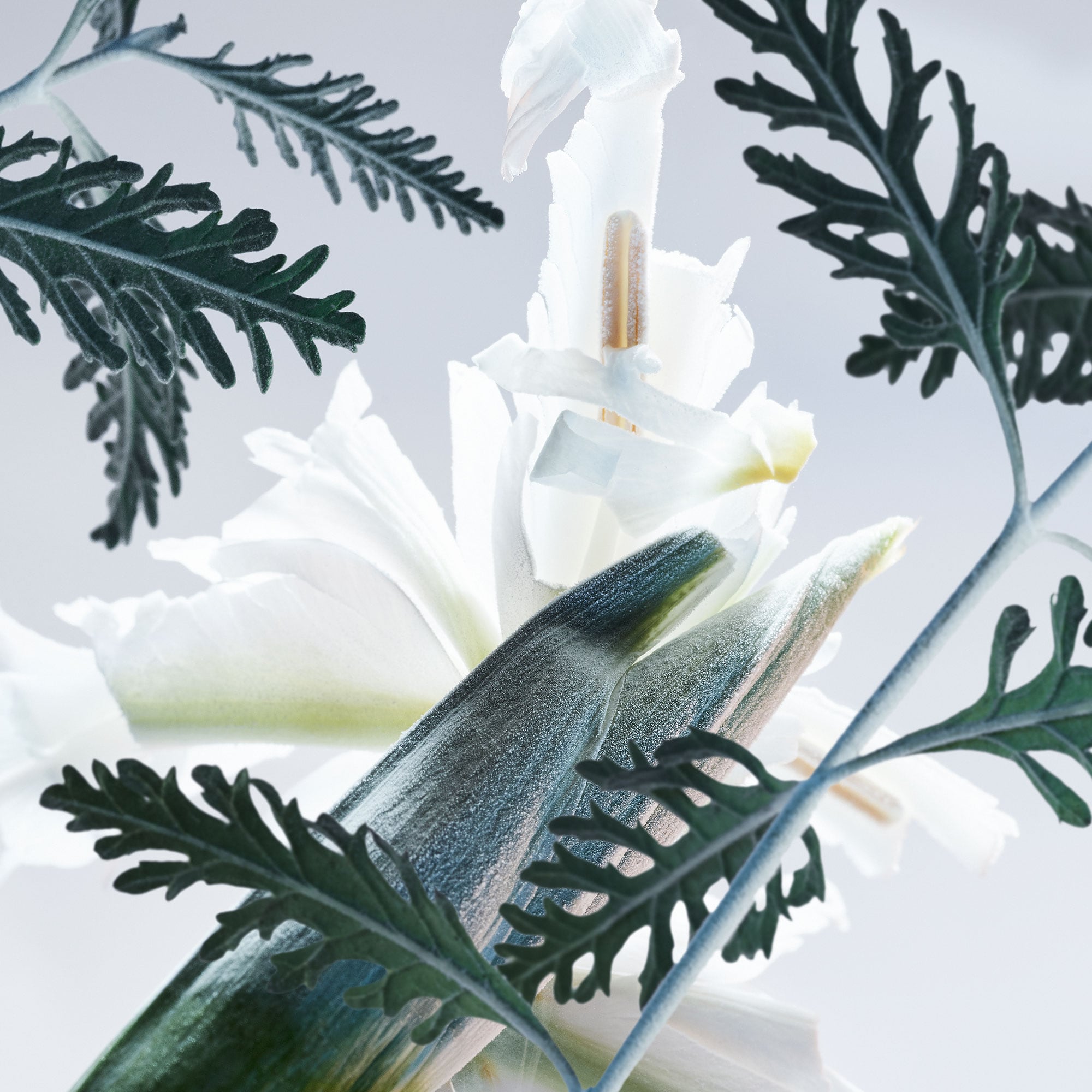 Man Glacial Essence Eau de Parfum