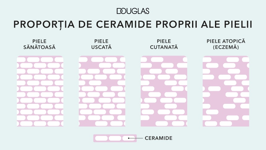 Imagine implicită pentru cms