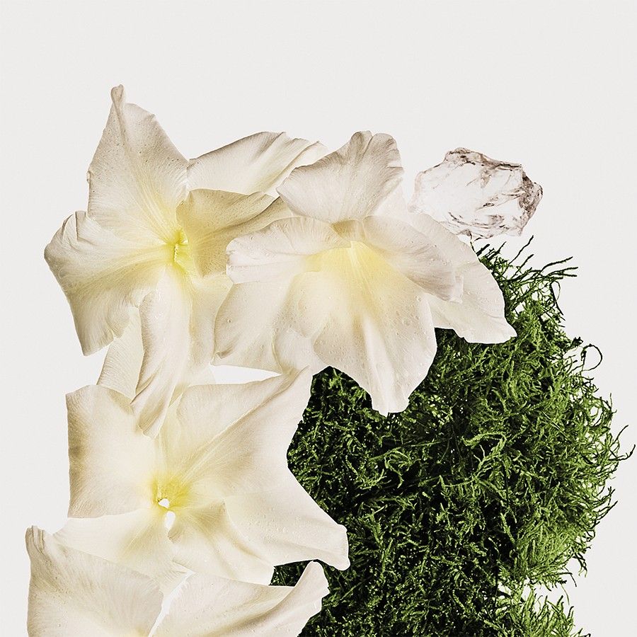 CK One Cotton Musk Hair & Body Mist