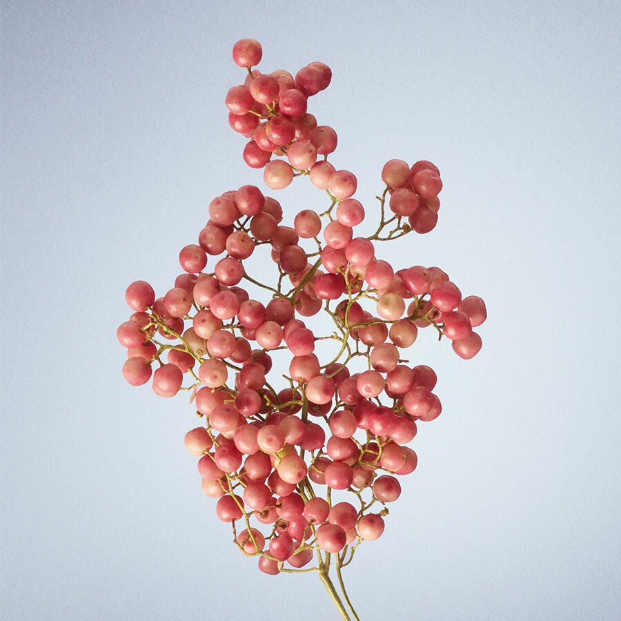 Once Upon A Garden Eau de Parfum