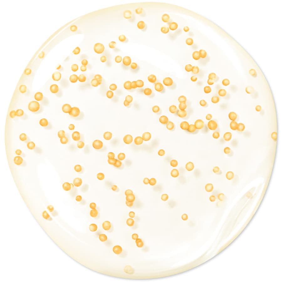 Abeille Royale Youth Watery Oil Serum