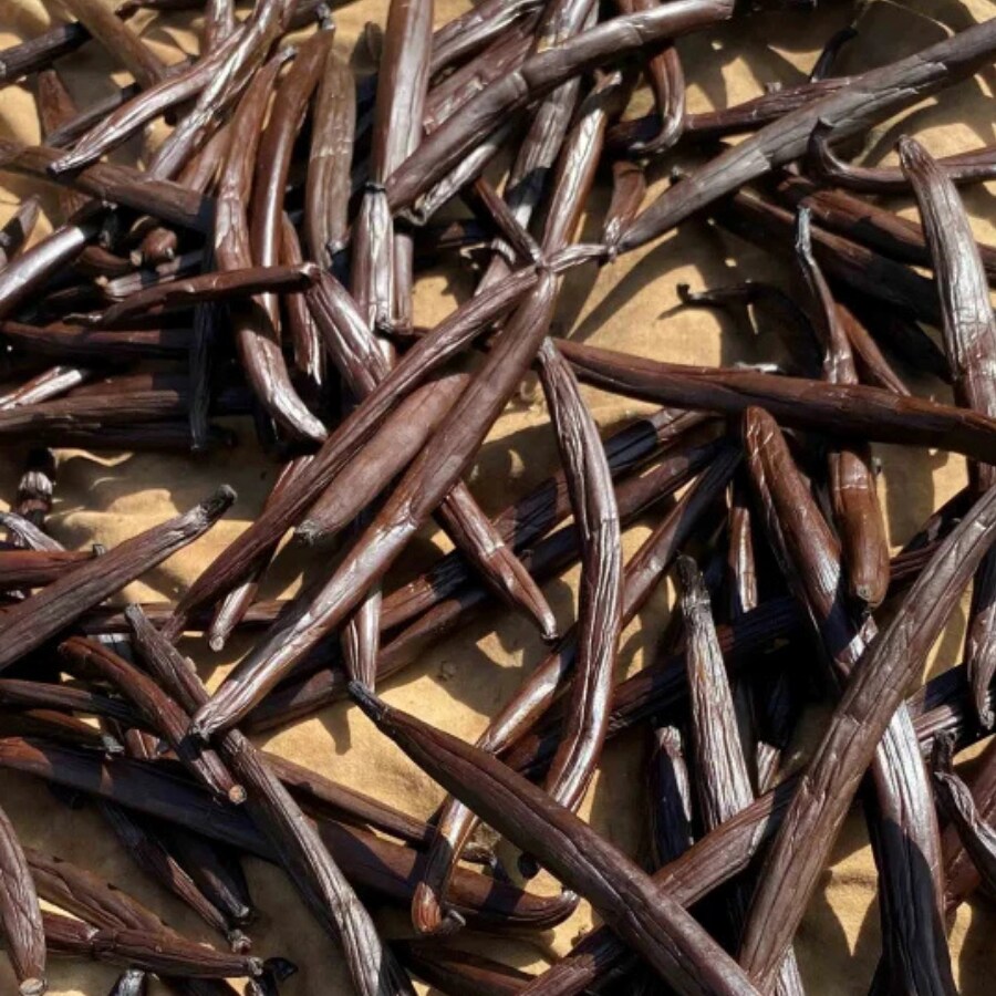 Monoi Vanilla Rouge SPF 3