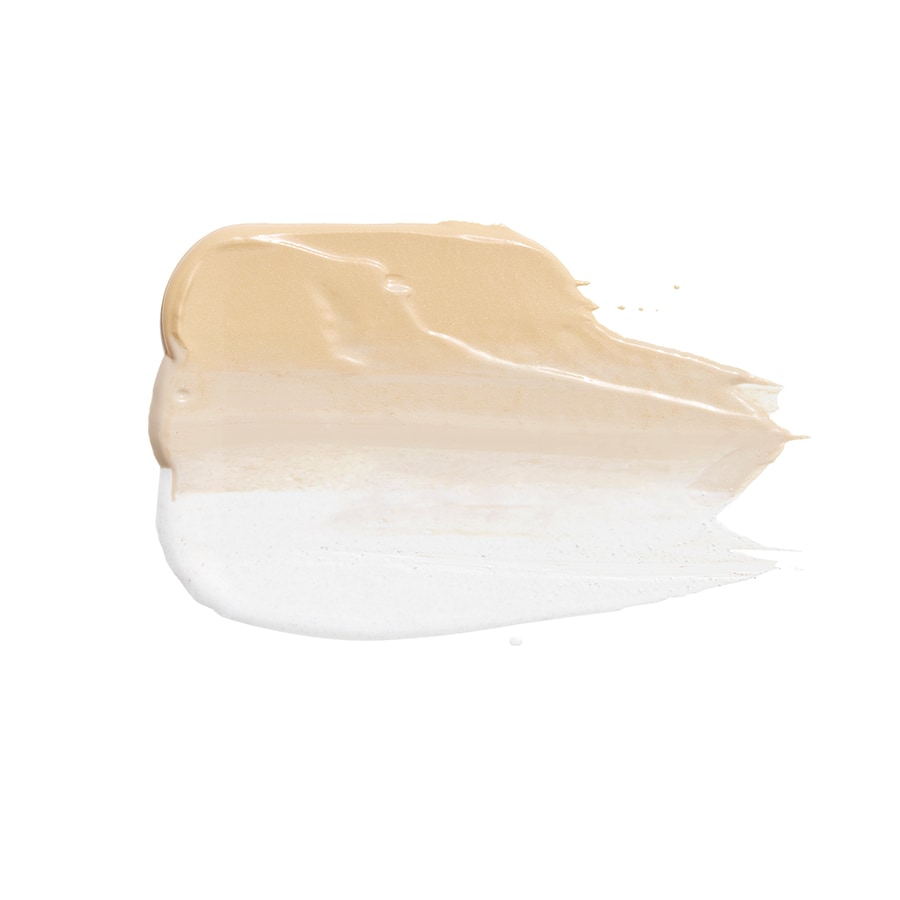 Chameleon Foundation