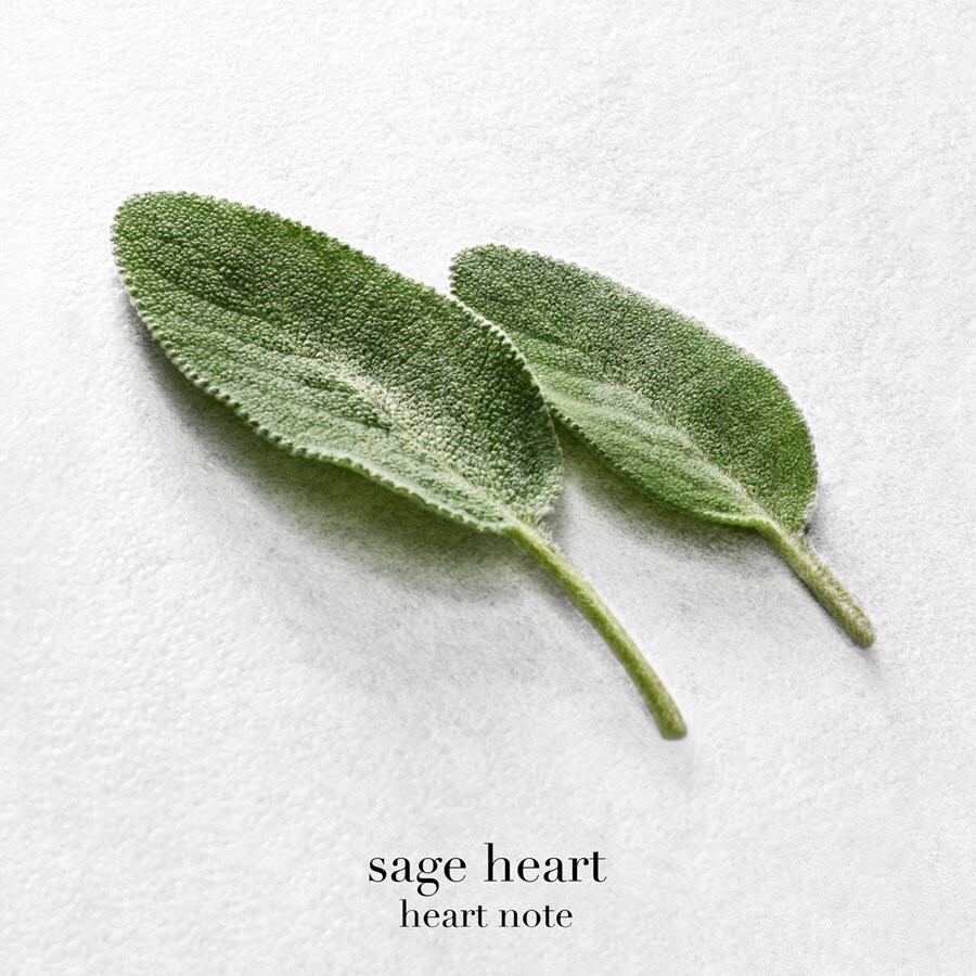 Acqua di Gio Eau de Parfum - Apa de parfum reincarcabila barbati