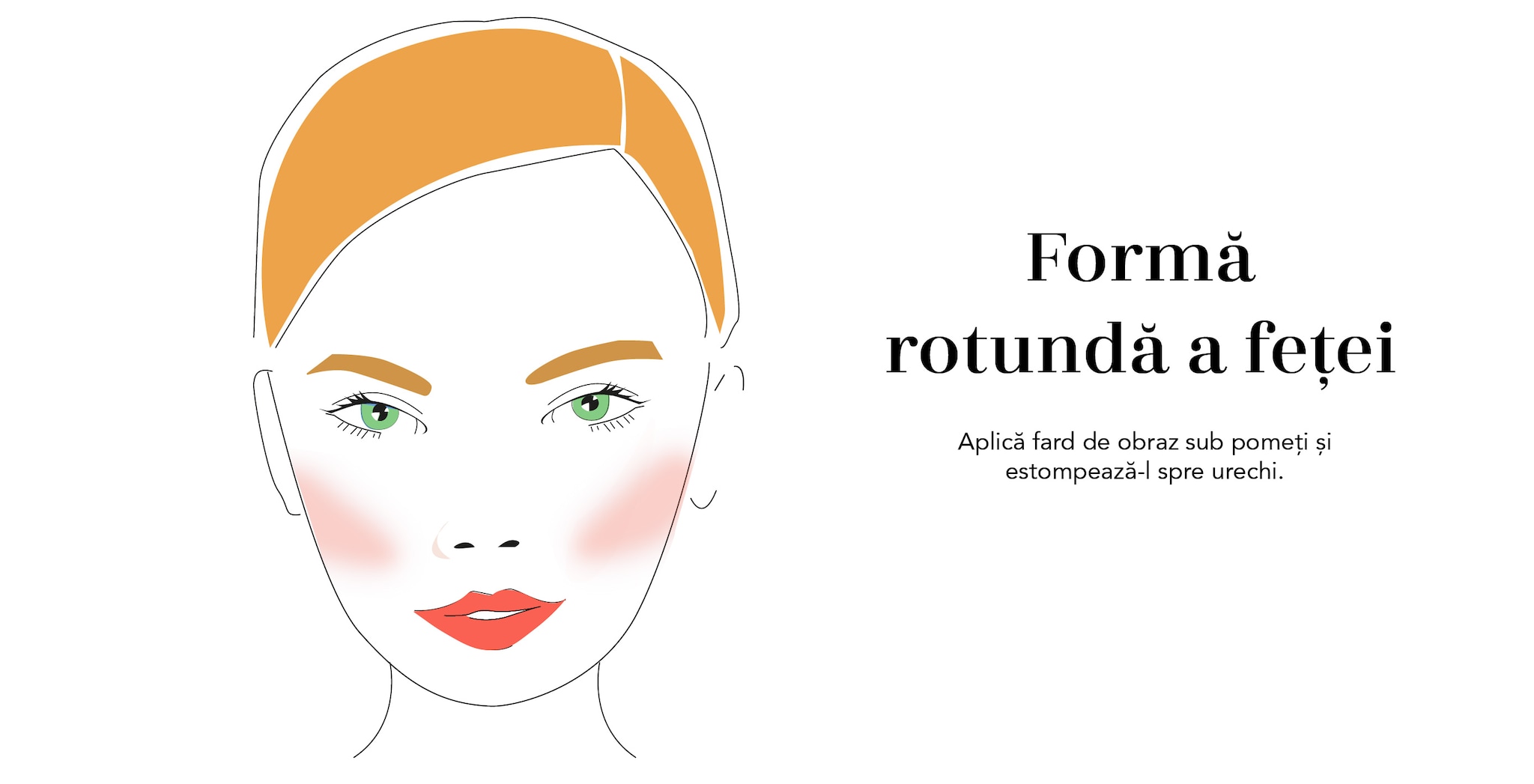 Imagine implicită pentru cms