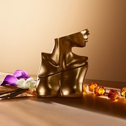 Imagine implicită pentru cms