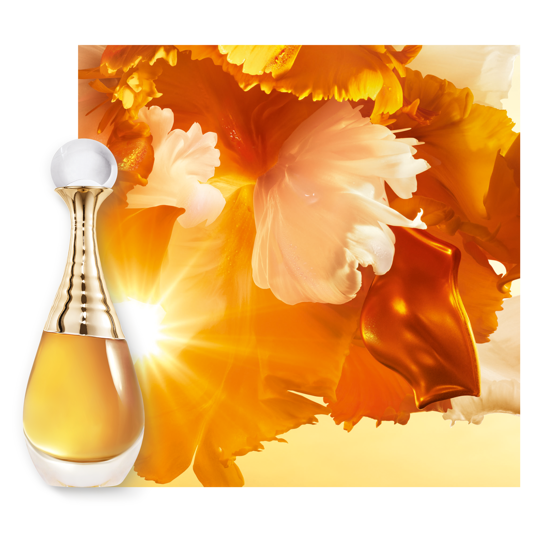 Imagine implicită pentru cms