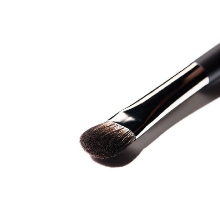 Anticearcan Brush 104