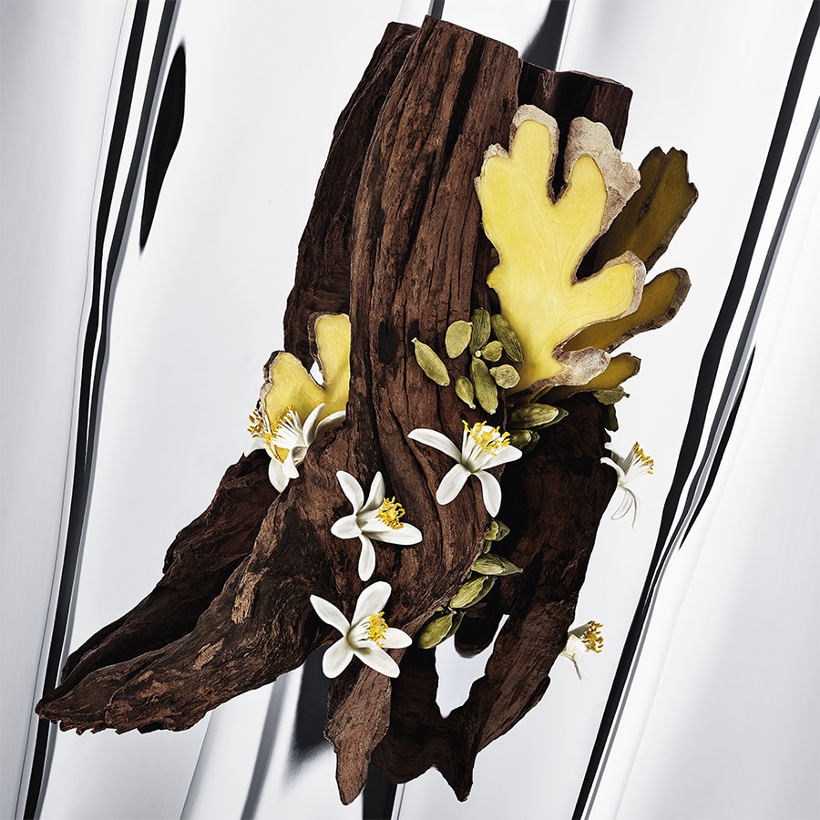 MYSLF L'Absolu - Parfum