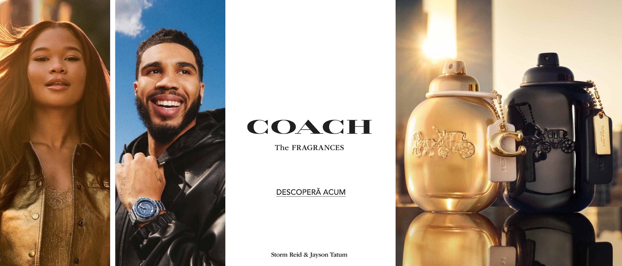 Glisor de imagine implicit pentru cms