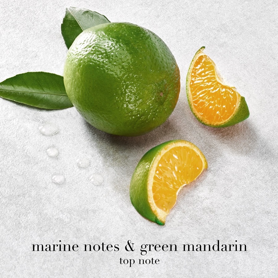 Acqua di Gio Eau de Parfum - Apa de parfum reincarcabila barbati