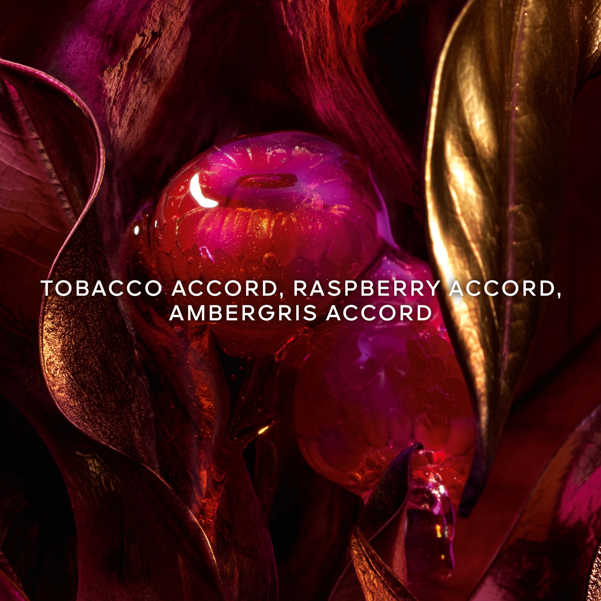 Absolus Allegoria Tabac Sahara Eau de Parfum