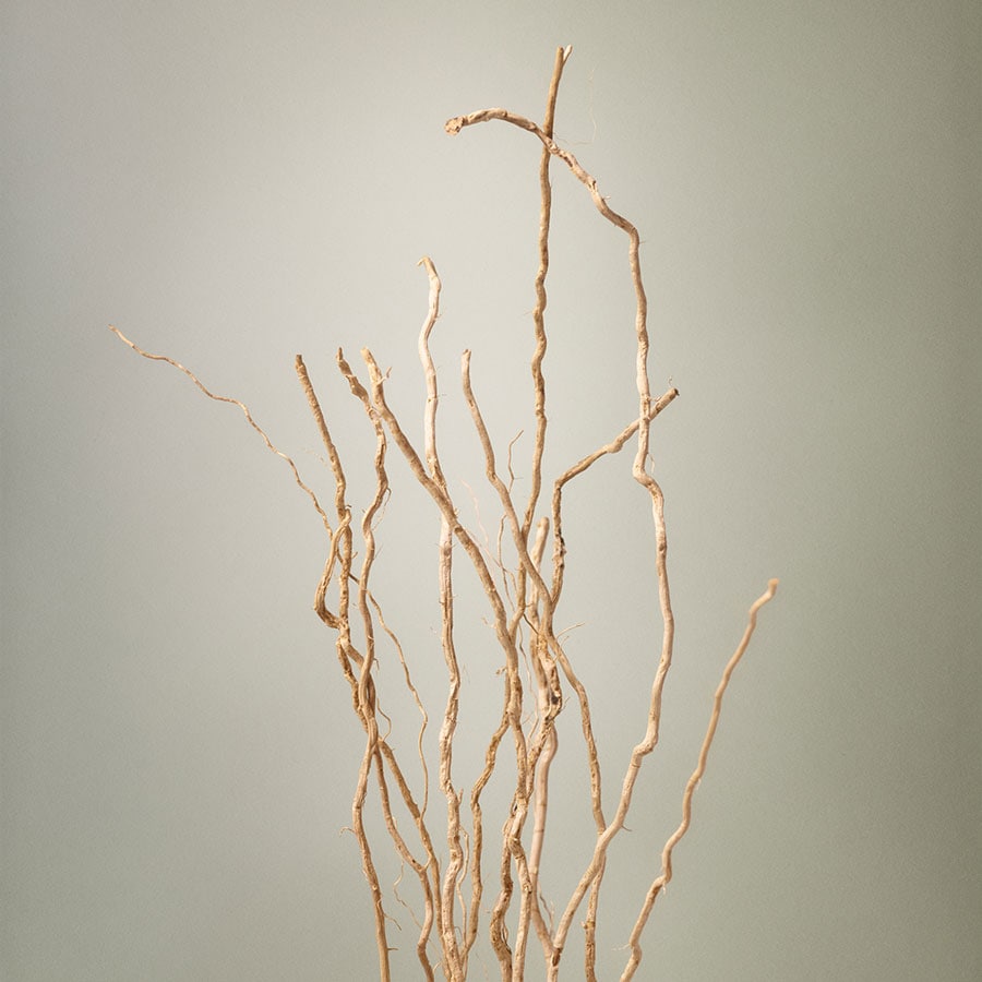 Signature Eau de Parfum