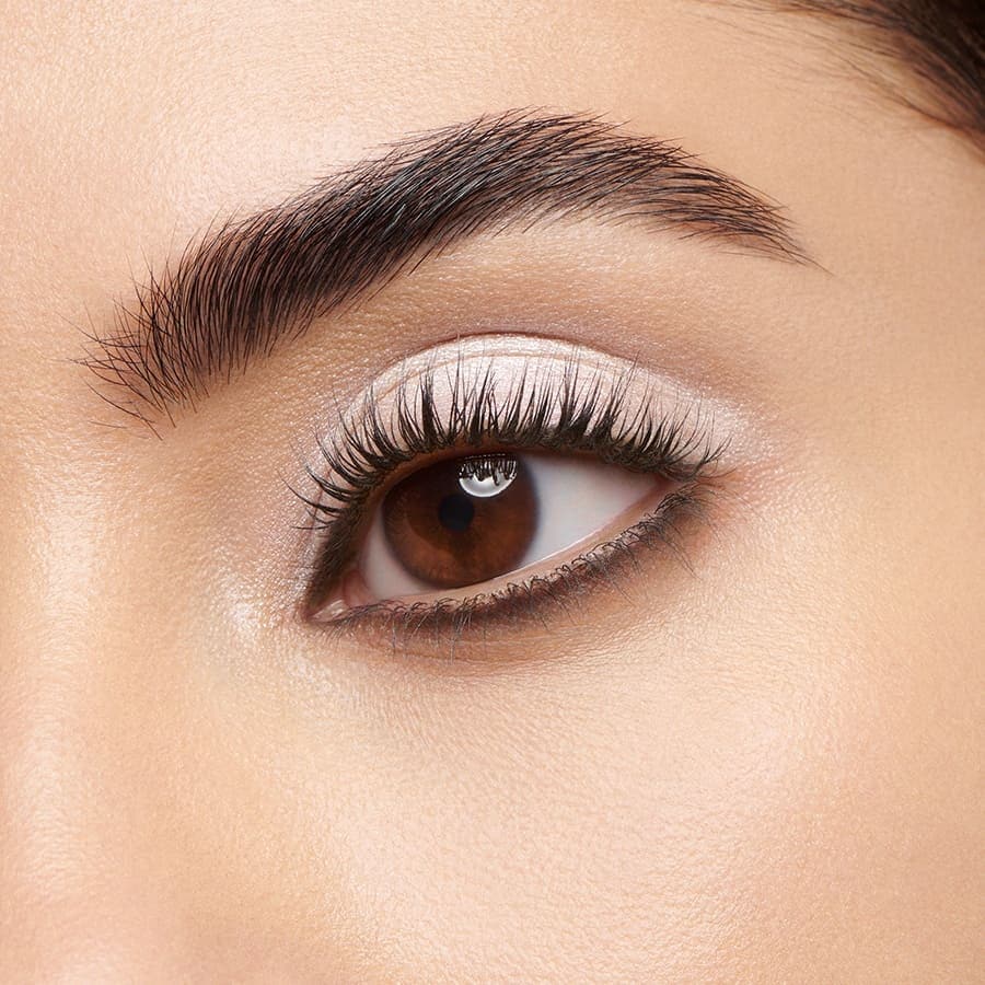 Ombre 4 Couleurs Eyeshadow