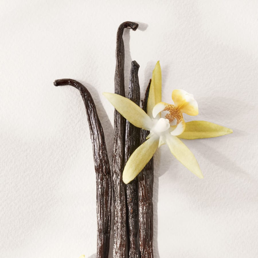 Polo Earth Antilles Vetiver Eau de Toilette