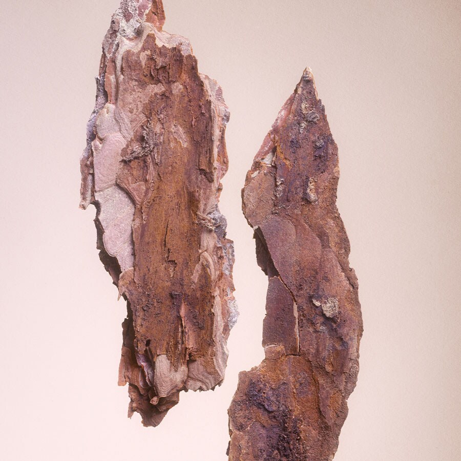 Just Give Me Roses Eau de Parfum