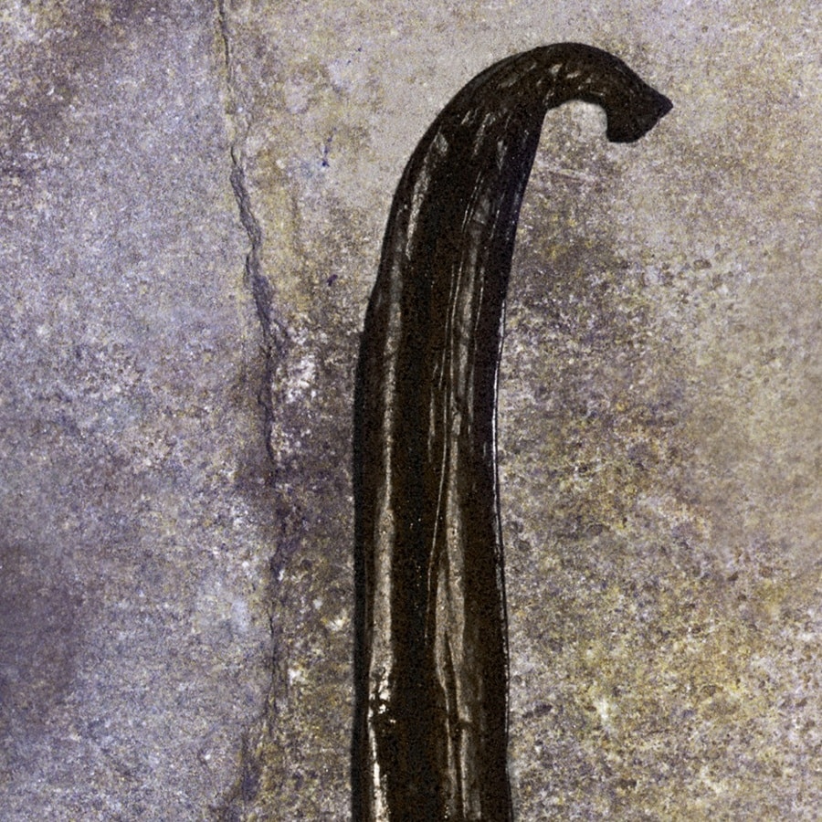 Nomade Nuit D'Égypte Eau de Parfum