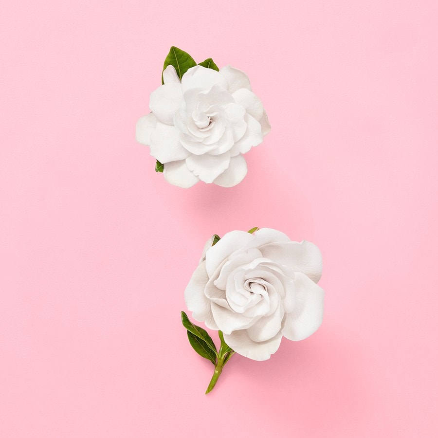 Flora Gorgeous Gardenia Eau De Parfum