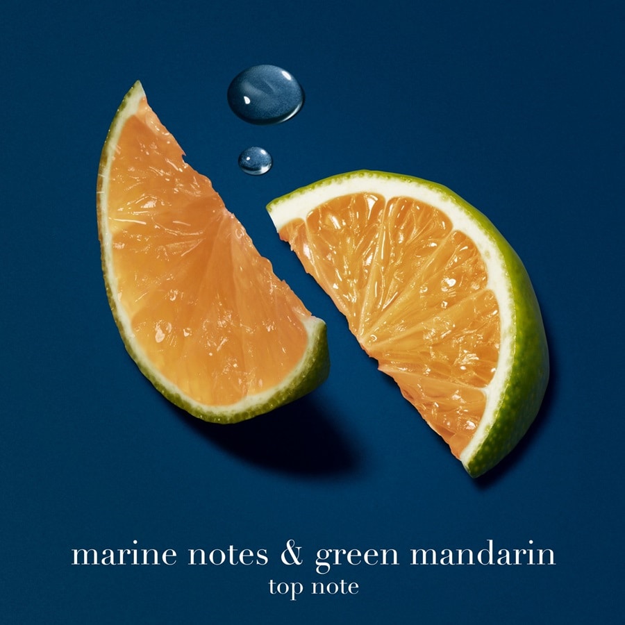 Acqua di Gio Profondo - Apa de parfum reincarcabila barbati