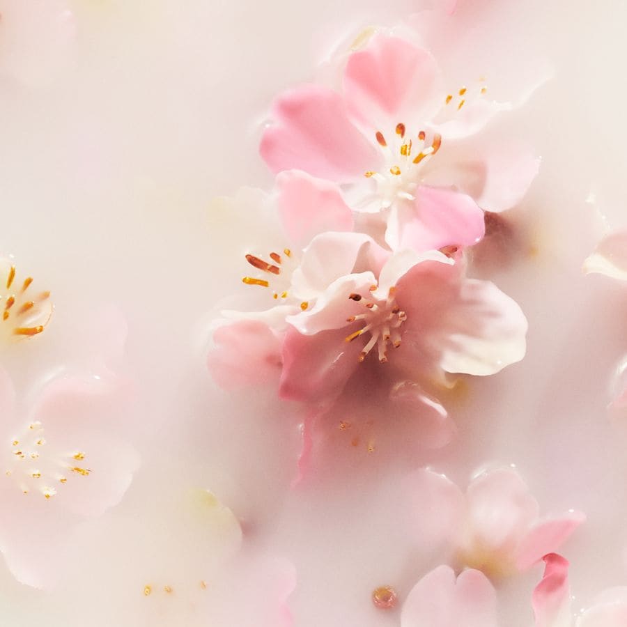 The Ritual of Sakura Shampoo & Body Bar