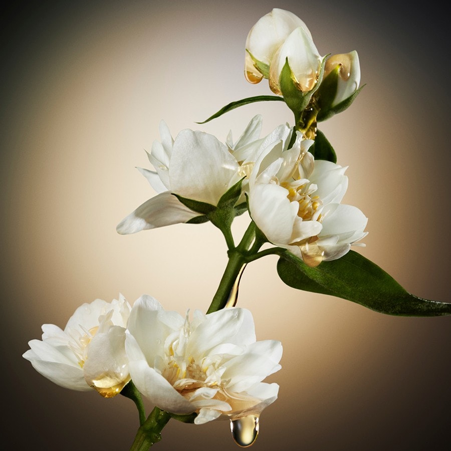 The Scent For Her Eau de Parfum