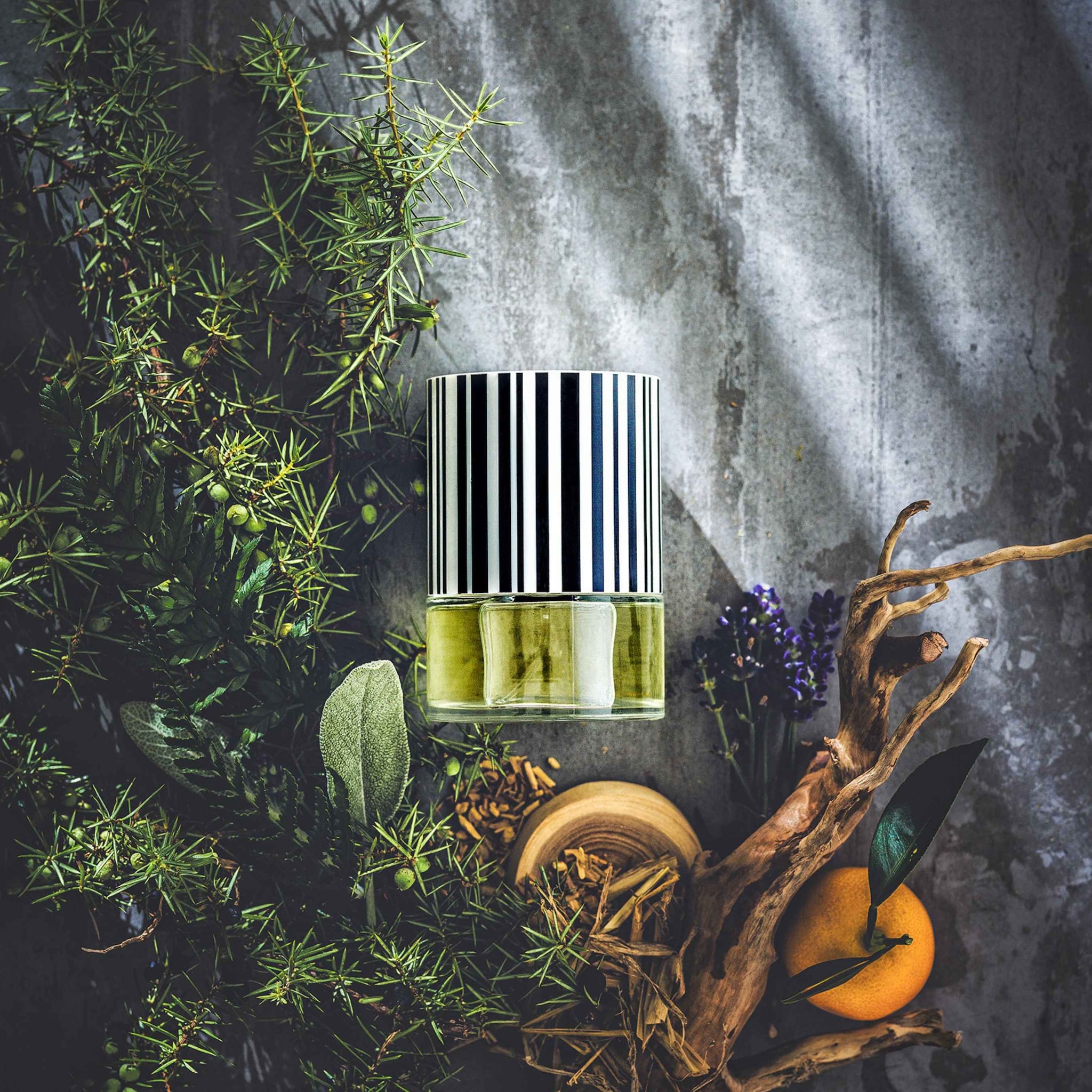 Lavendel & Juniper Facet 401 Eau de Parfum