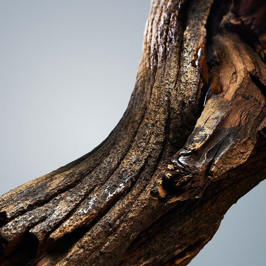 Boss Bottled Deodorant Spray