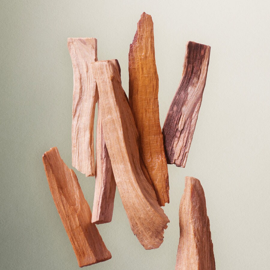 Let The Dance Begin Eau de Parfum