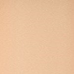 11 - Light Medium Cool 4