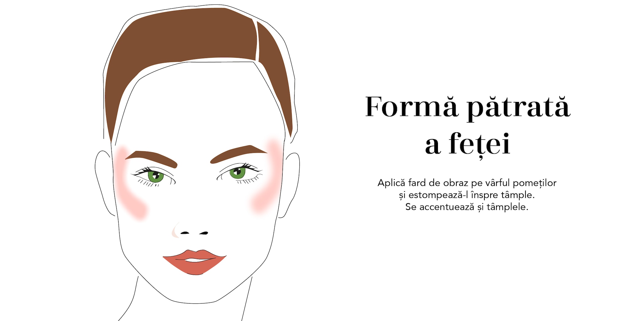 Imagine implicită pentru cms