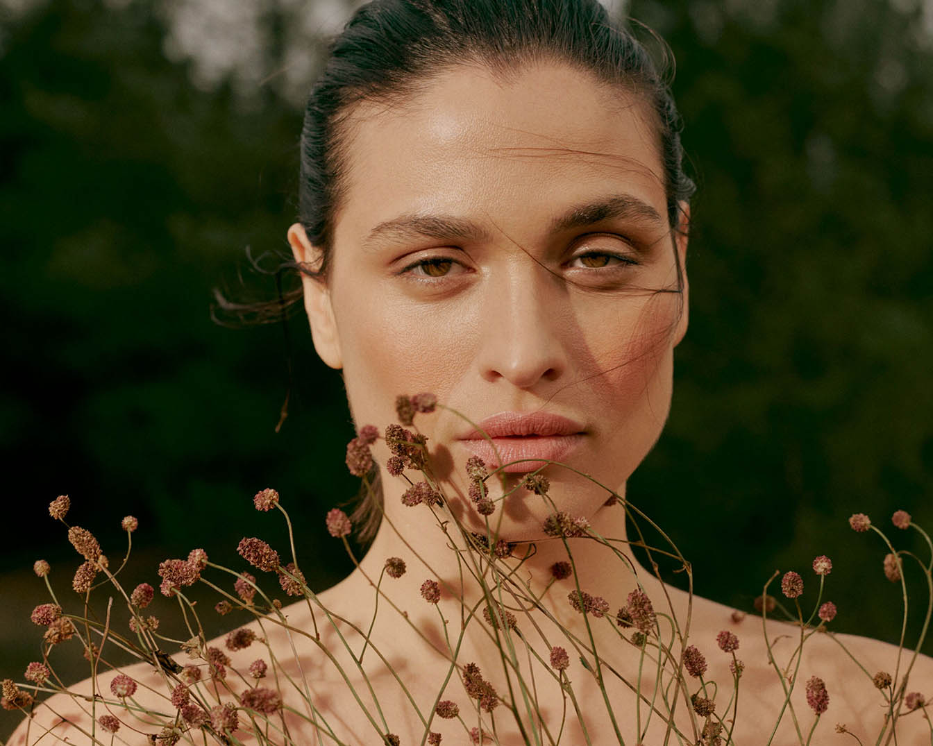 Imagine implicită pentru cms