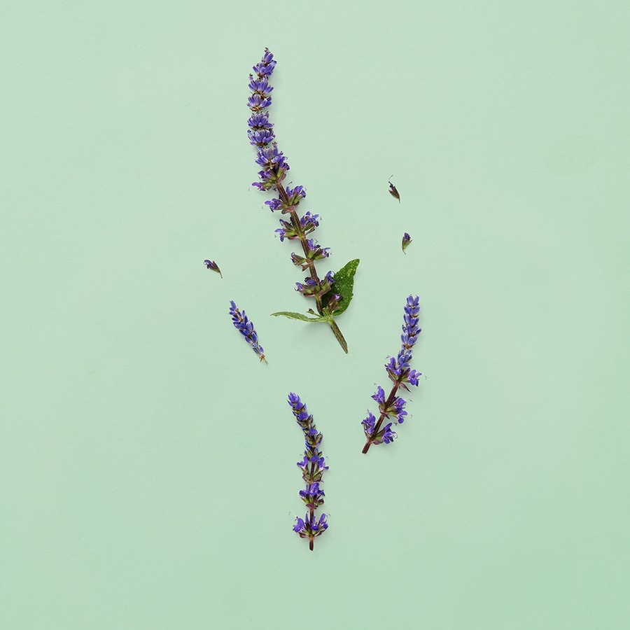 Guilty Parfum Pour Homme