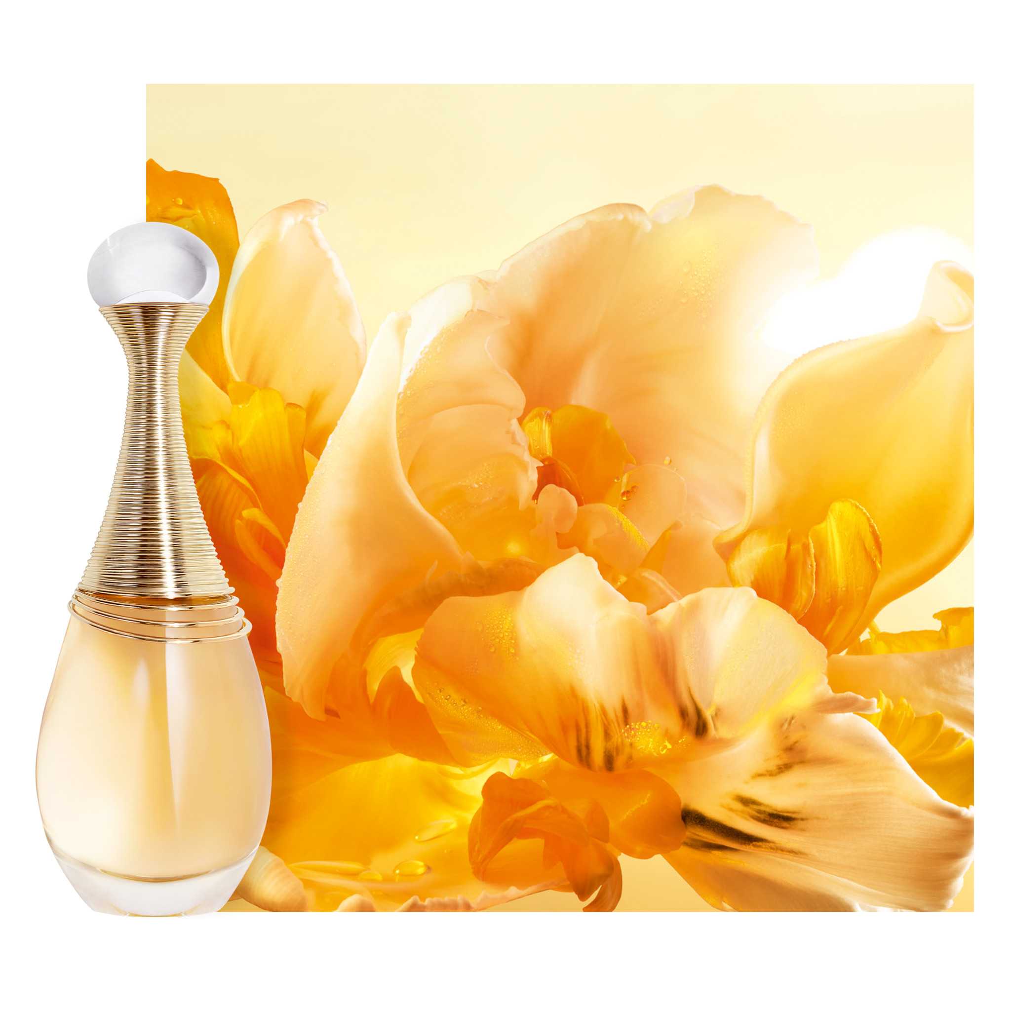 Imagine implicită pentru cms